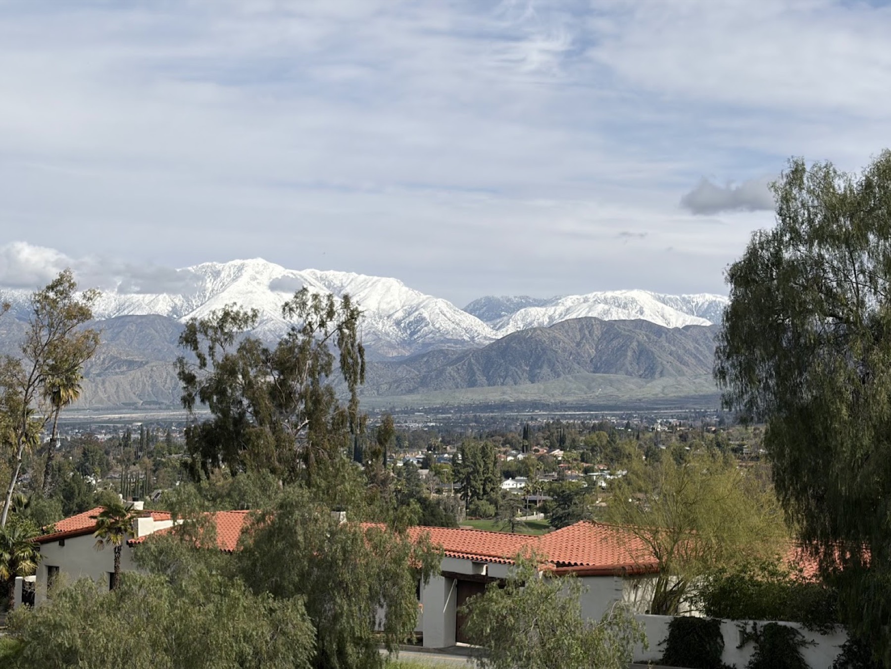 Snow on the San Bernardino Mountains rising above red tile rooftops and trees in Redlands.