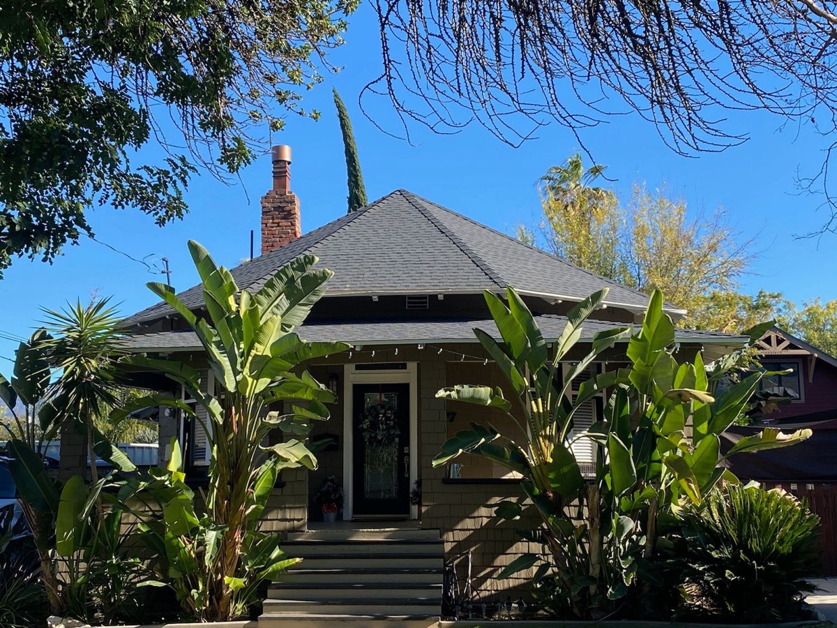 A craftsman bungalow with a dark shingled roof, screened by birds of paradise in the front yard.